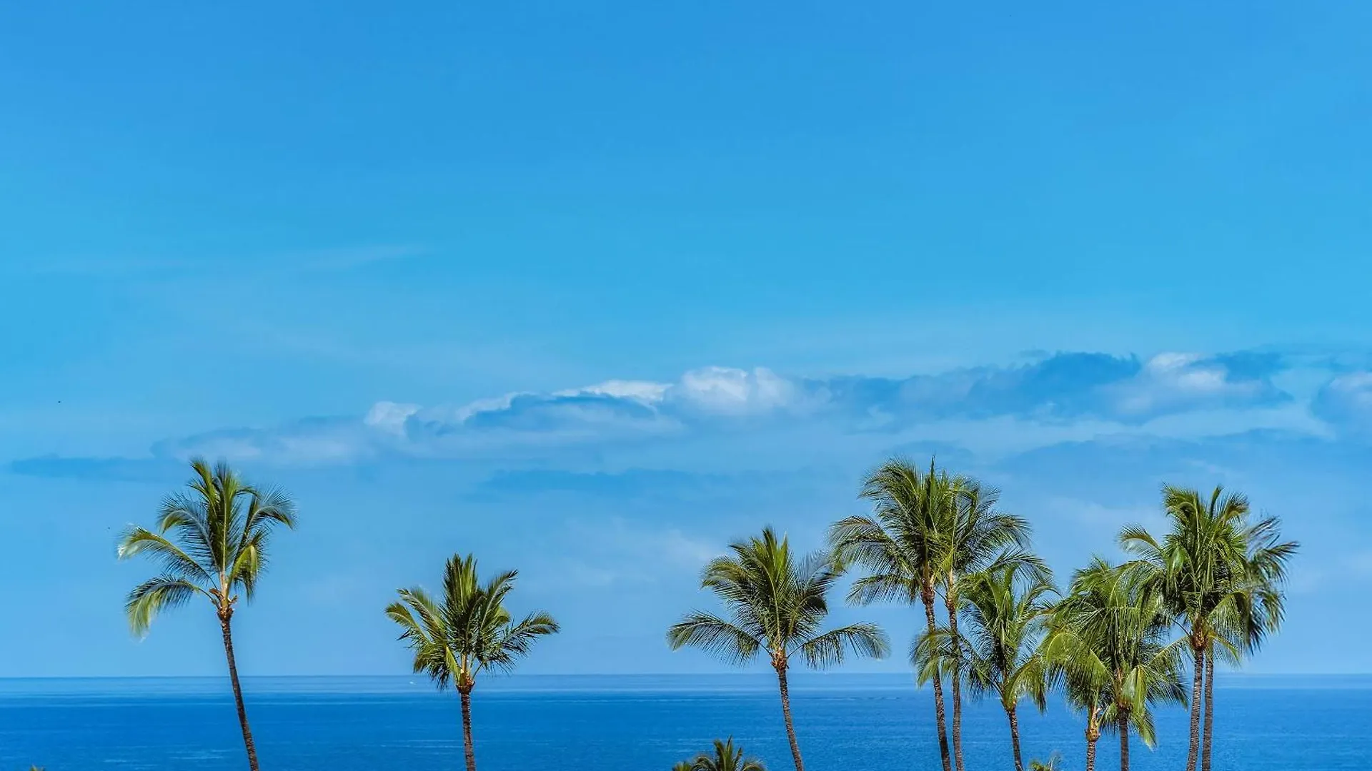 Wailea Ekahi 45D - Ocean Views, Split Ac, Wi-Fi Villa